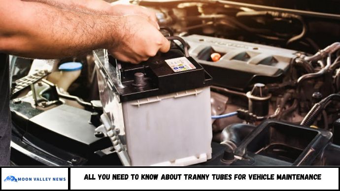 All You Need to Know About Tranny Tubes