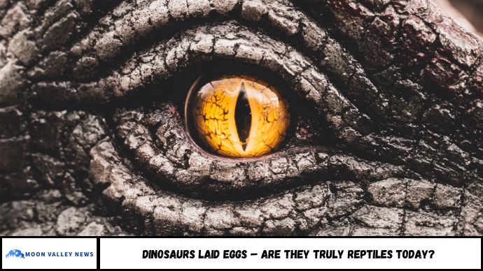 Dinosaurs Laid Eggs – Are They Truly Reptiles Today?