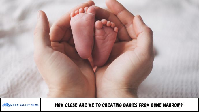 How Close Are We to Creating Babies from Bone Marrow?