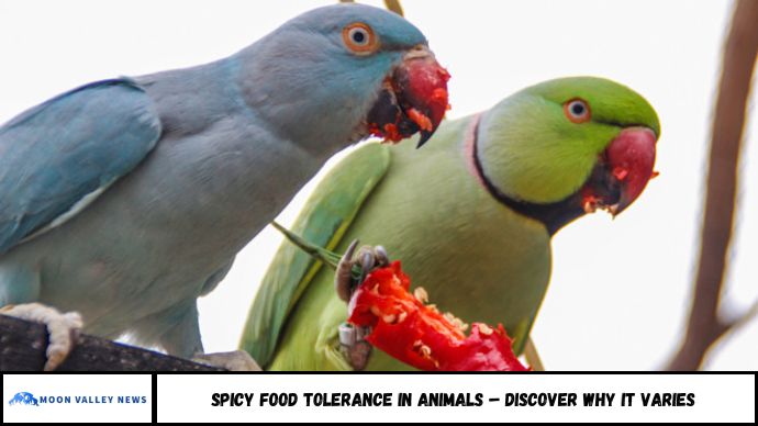 Spicy Food Tolerance in Animals – Discover Why It Varies