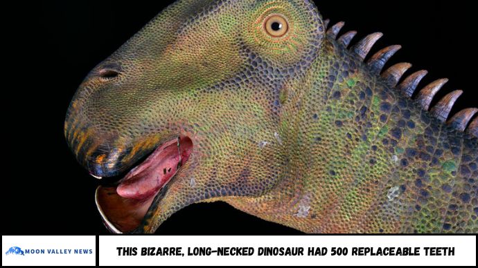 This Bizarre, Long-Necked Dinosaur Had 500 Replaceable Teeth